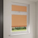 StickFit TradeChoice Blockout Terra