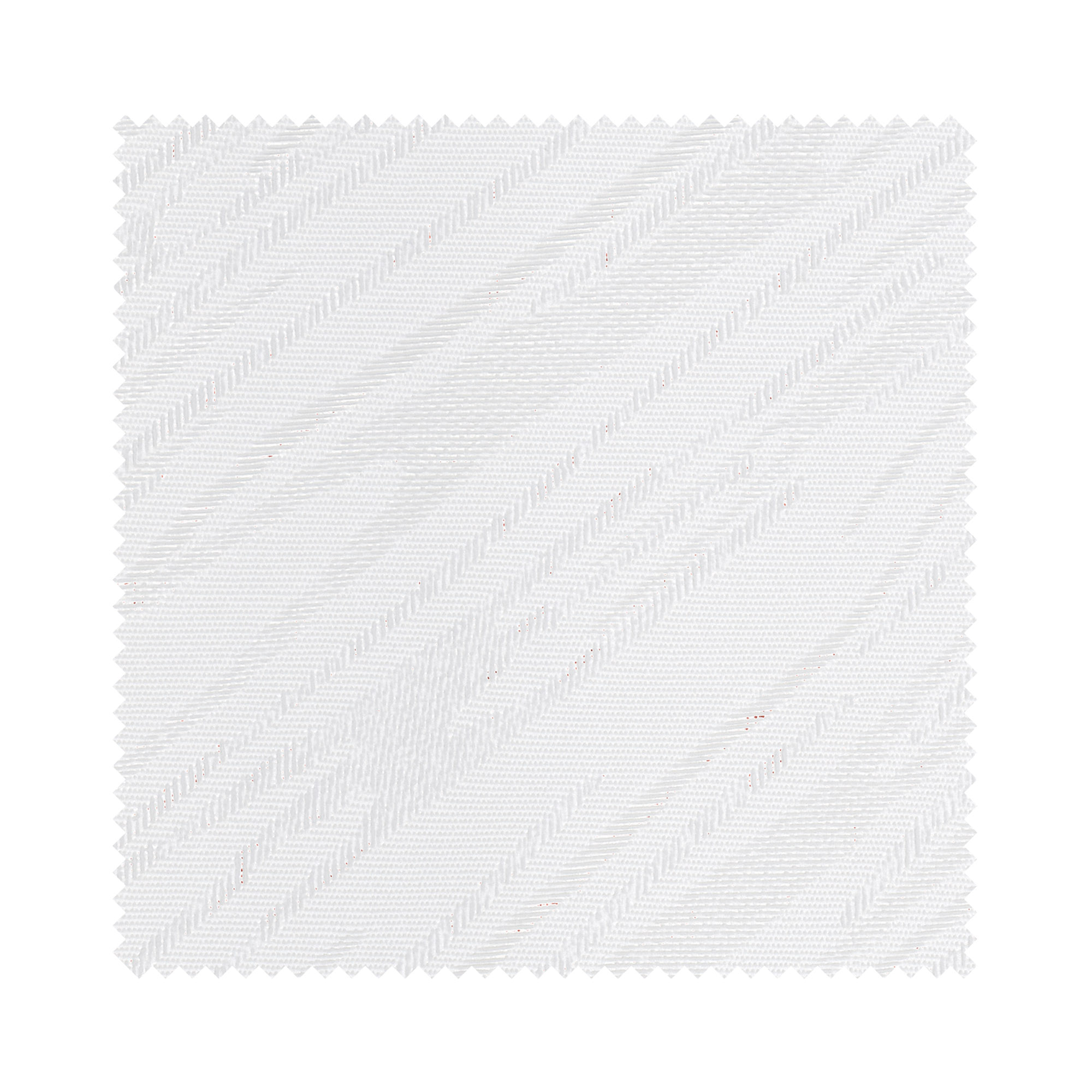 Amaris White - Image 6