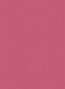 Bella Lipstick Replacement Slats - Image 7