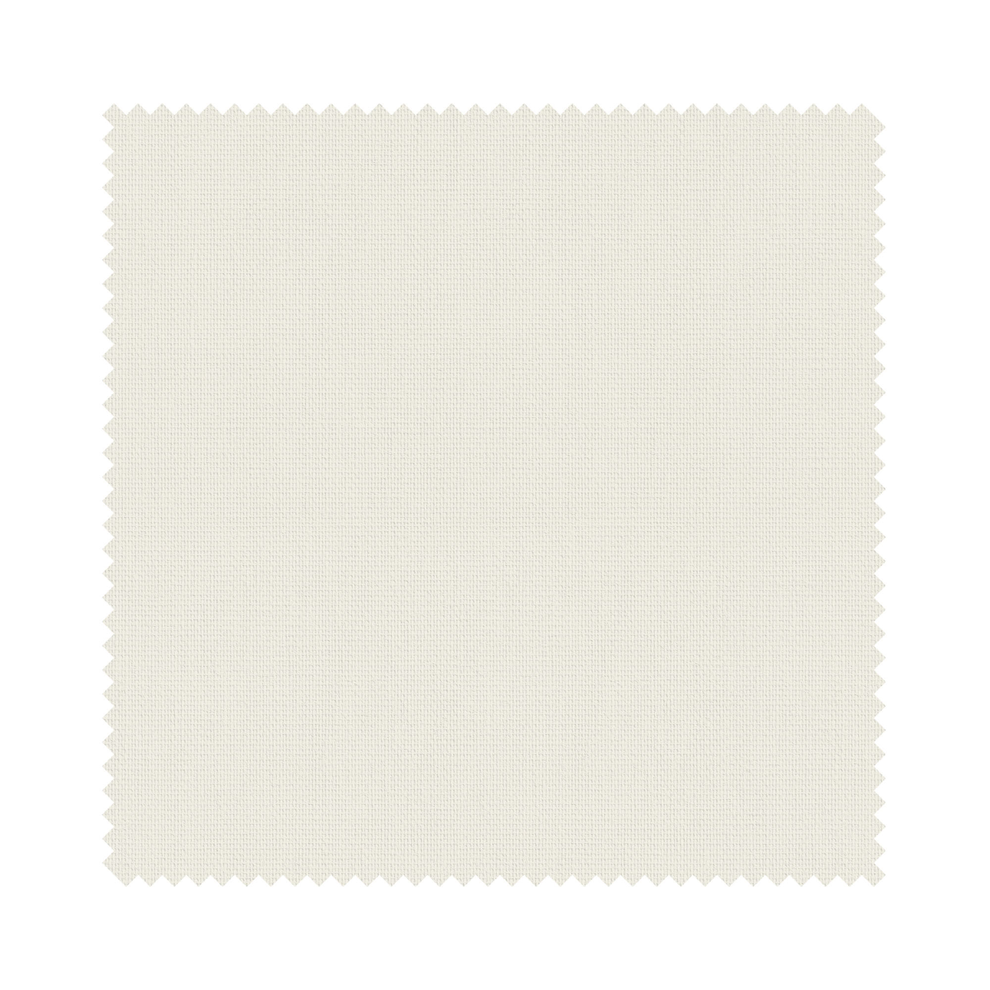 Bella Paper - Image 6