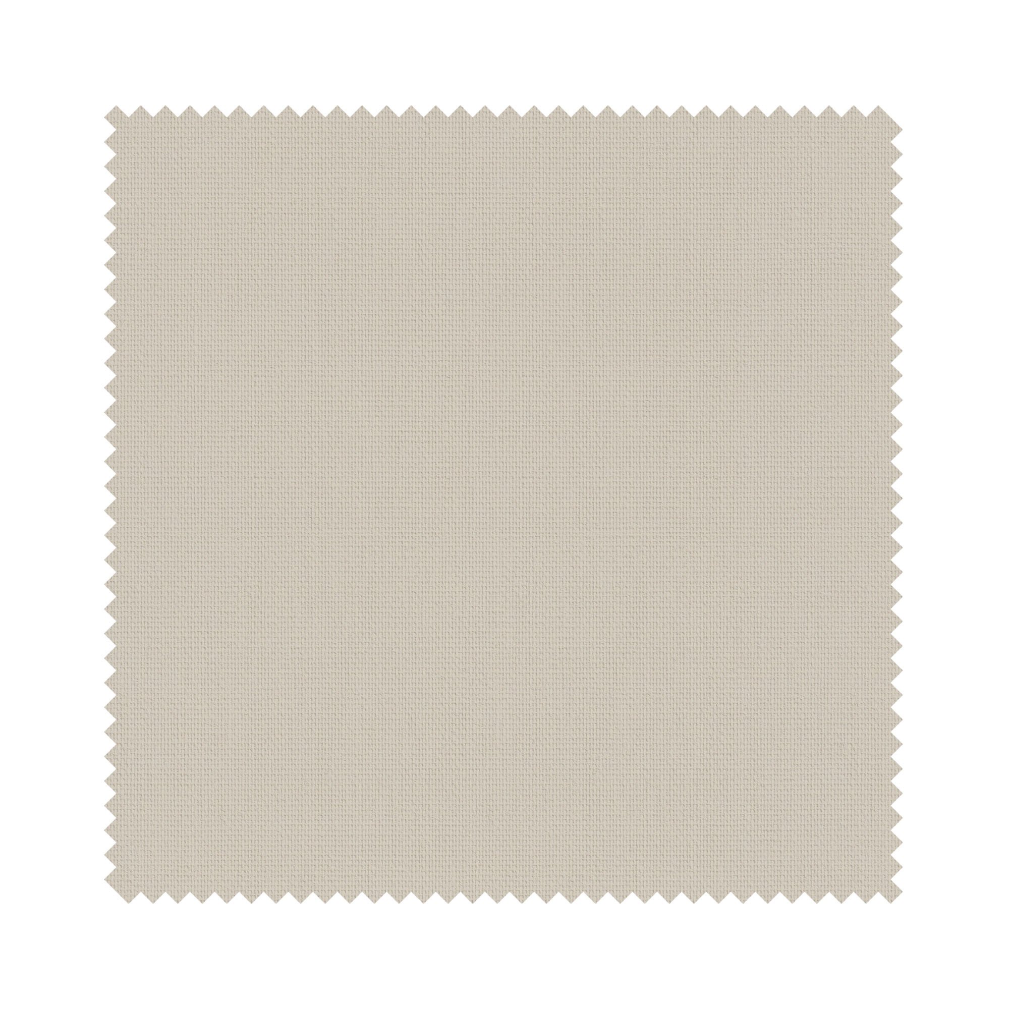 Bella Placid - Image 6