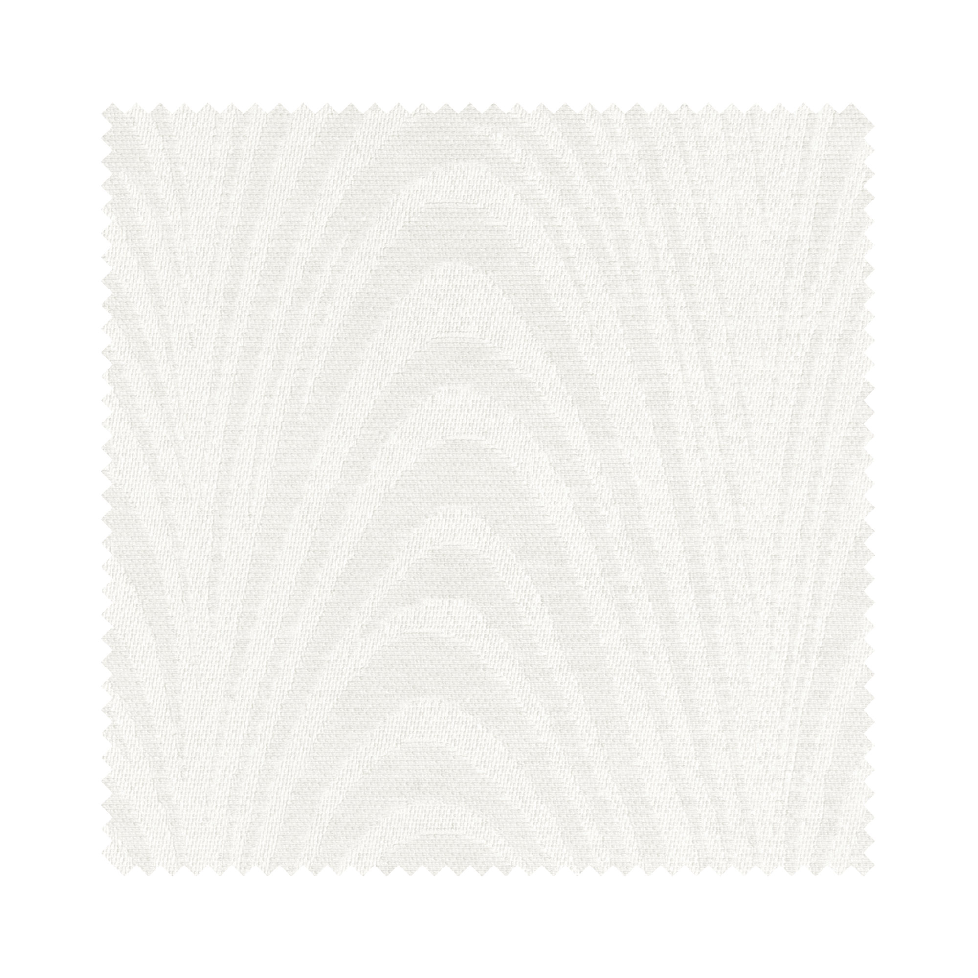 Carlo Chalk - Image 6