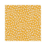 Chessel Sunflower No Drill