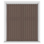 Dolphin Brown