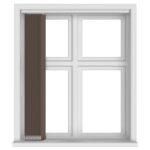 Dolphin Brown