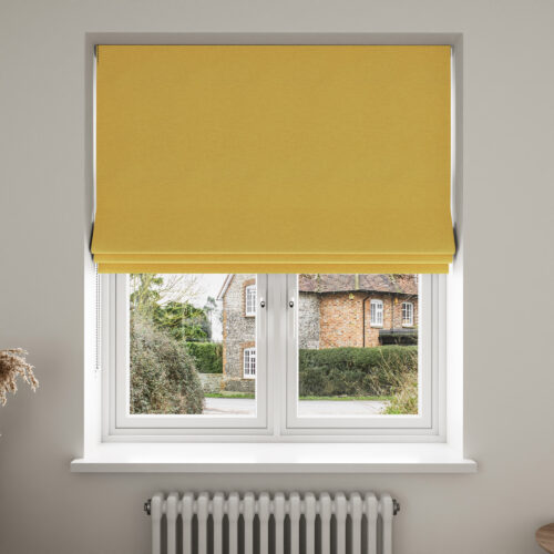 Goya Sunflower
