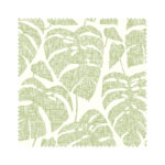 Missprint Blackout Guatemala Olive
