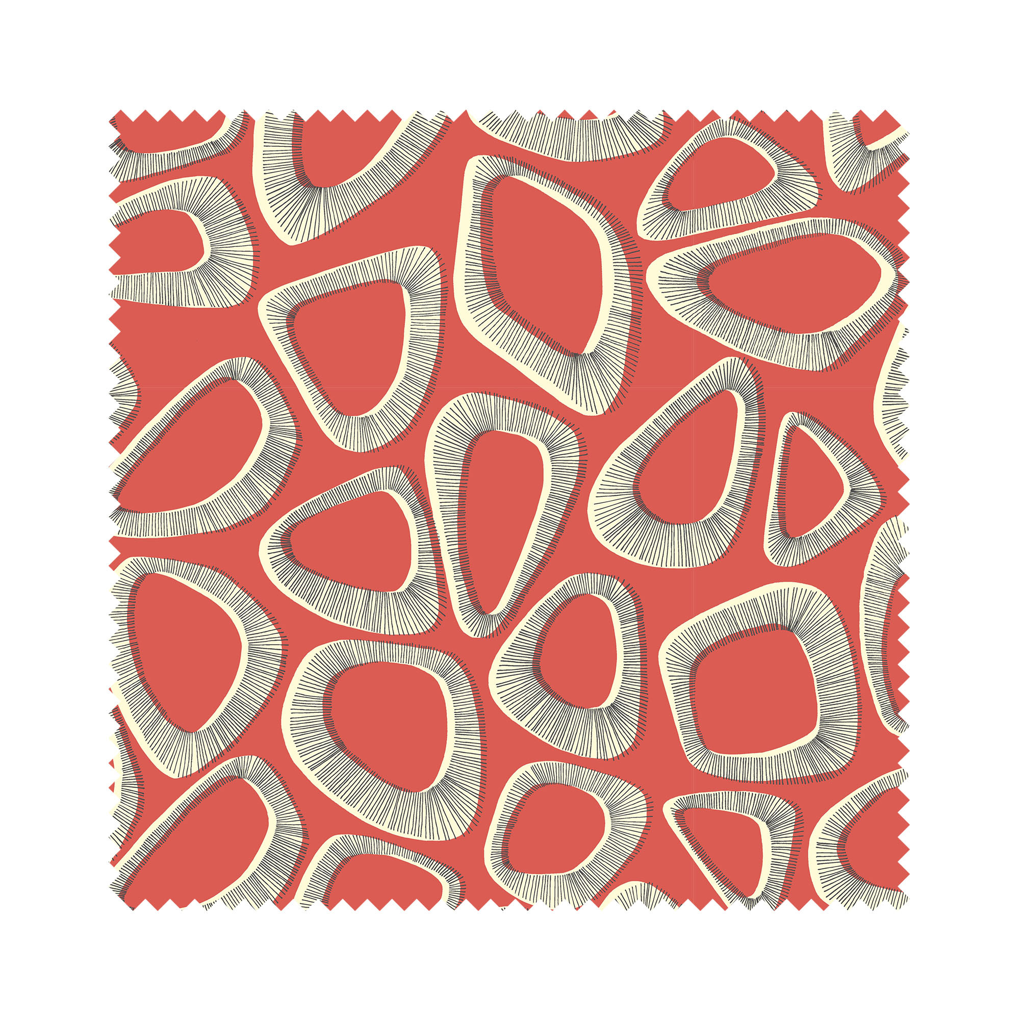 Missprint Blackout Pebbles Ladybird - Image 6