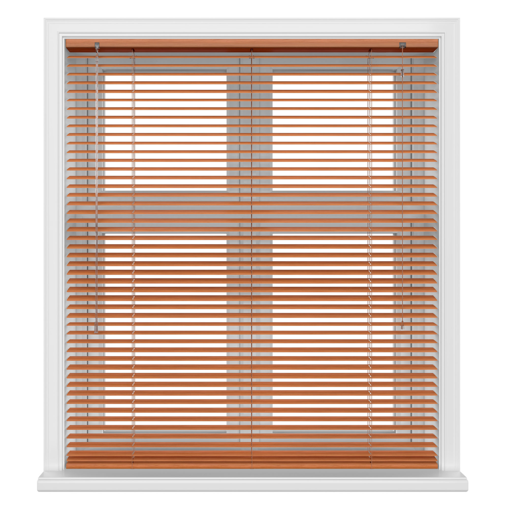 Red Chestnut - Image 2
