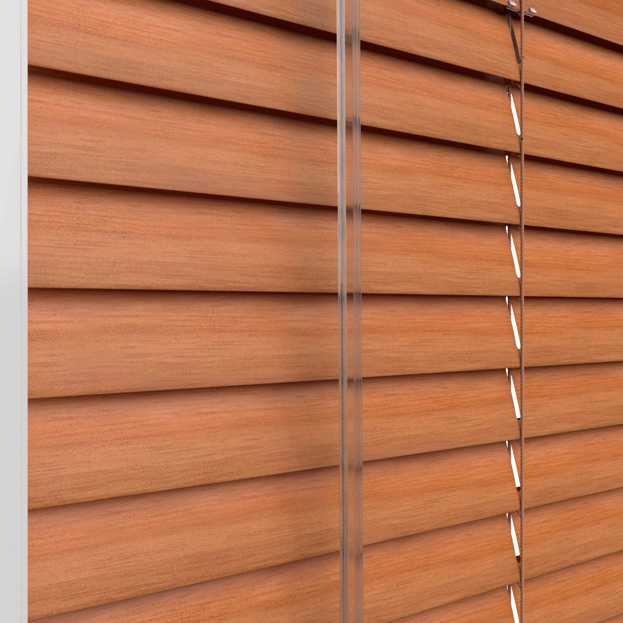 Red Chestnut - Image 6