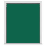 Bella Cacti Motorised Double Roller Blind
