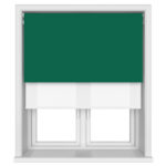 Bella Cacti Motorised Double Roller Blind