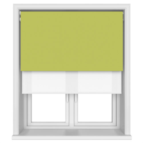 Bella Vine Motorised Double Roller Blind