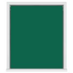Bella Cacti Double Roller Blind