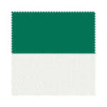Bella Cacti Double Roller Blind