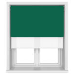 Bella Cacti Double Roller Blind
