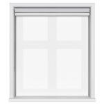 Bella Mineral Double Roller Blind