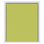Bella Vine Double Roller Blind
