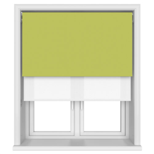 Bella Vine Double Roller Blind