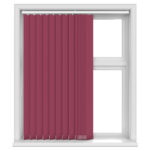 Bella Pop