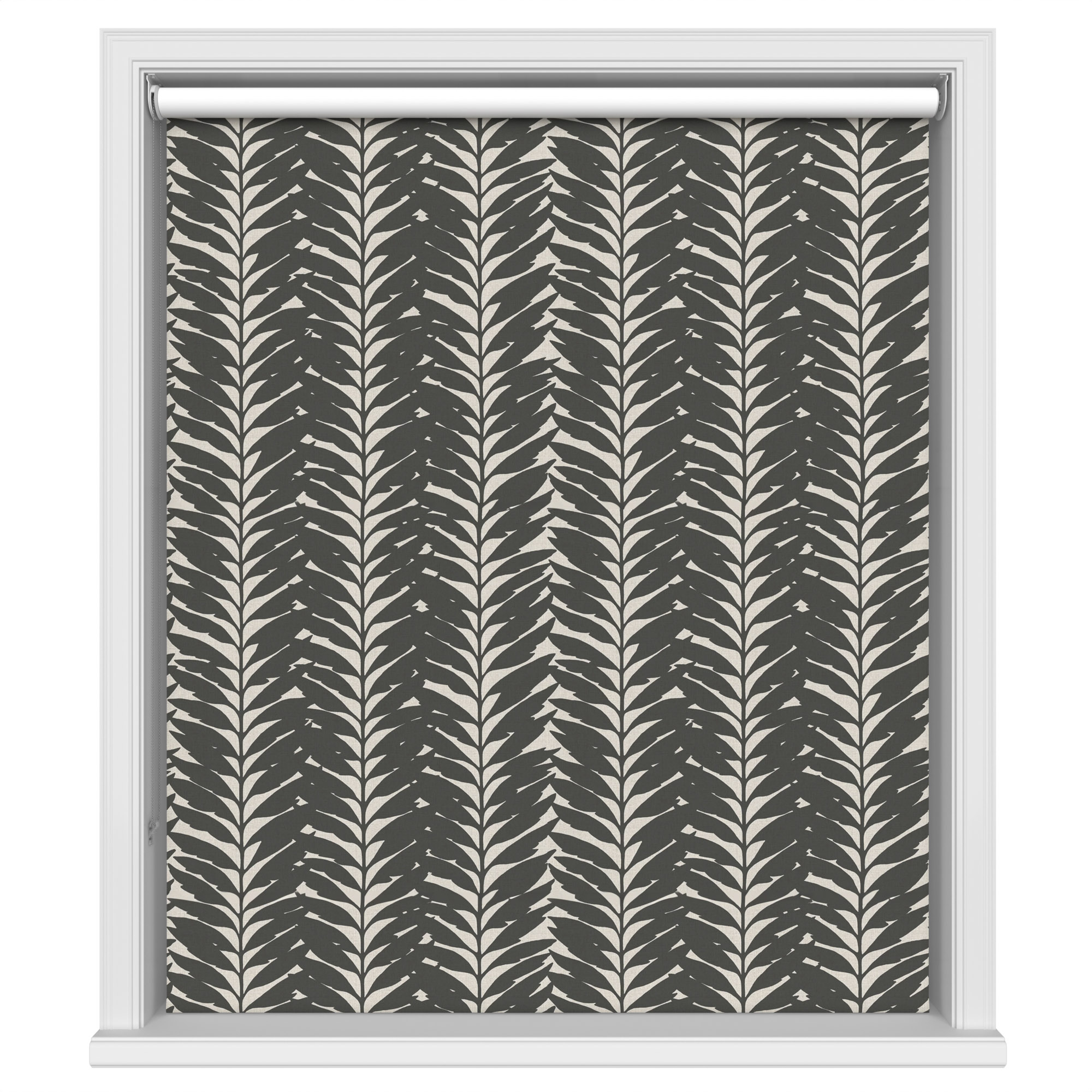 Acacia Ebony Blackout - Image 2