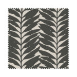 Acacia Ebony Blackout