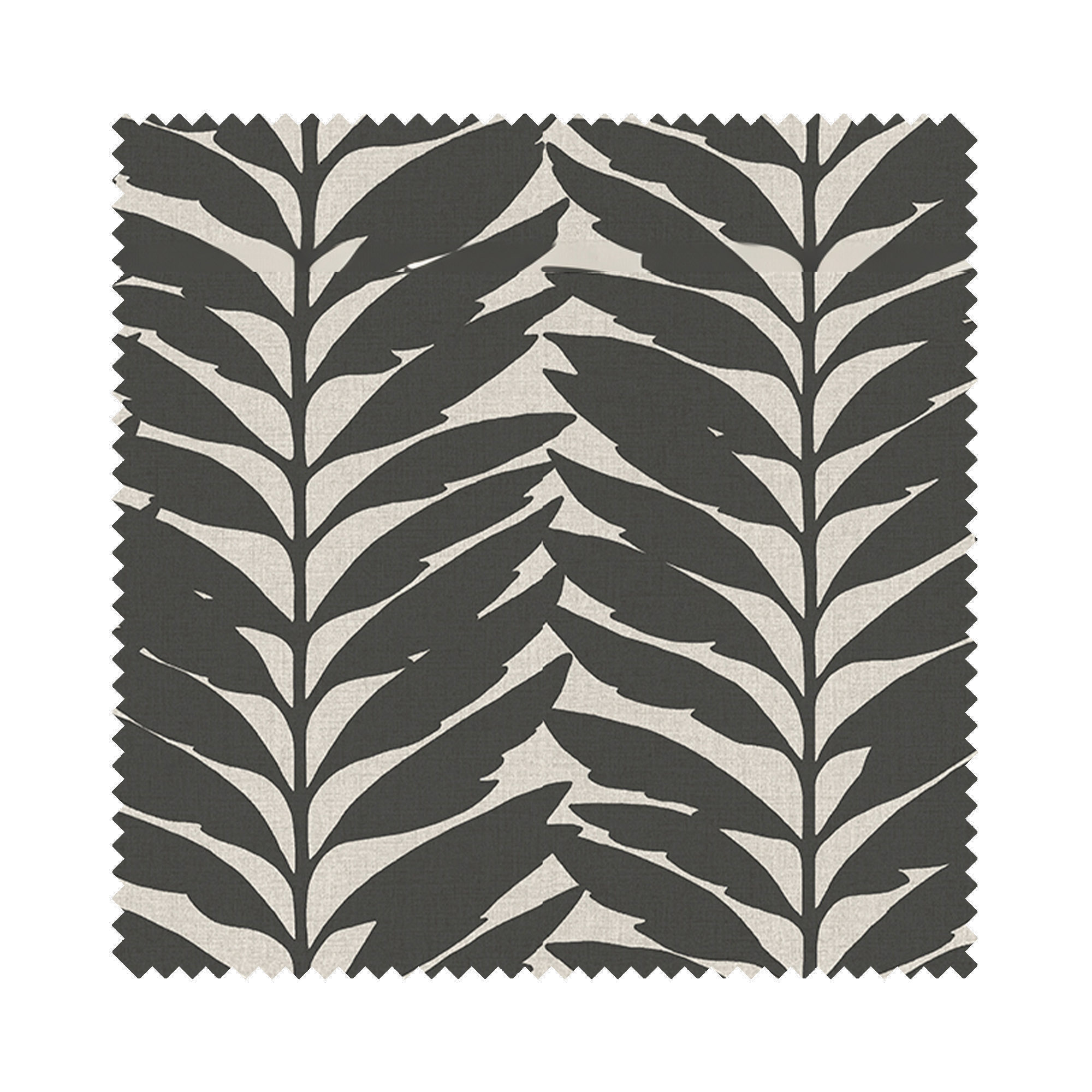 Acacia Ebony Blackout - Image 6