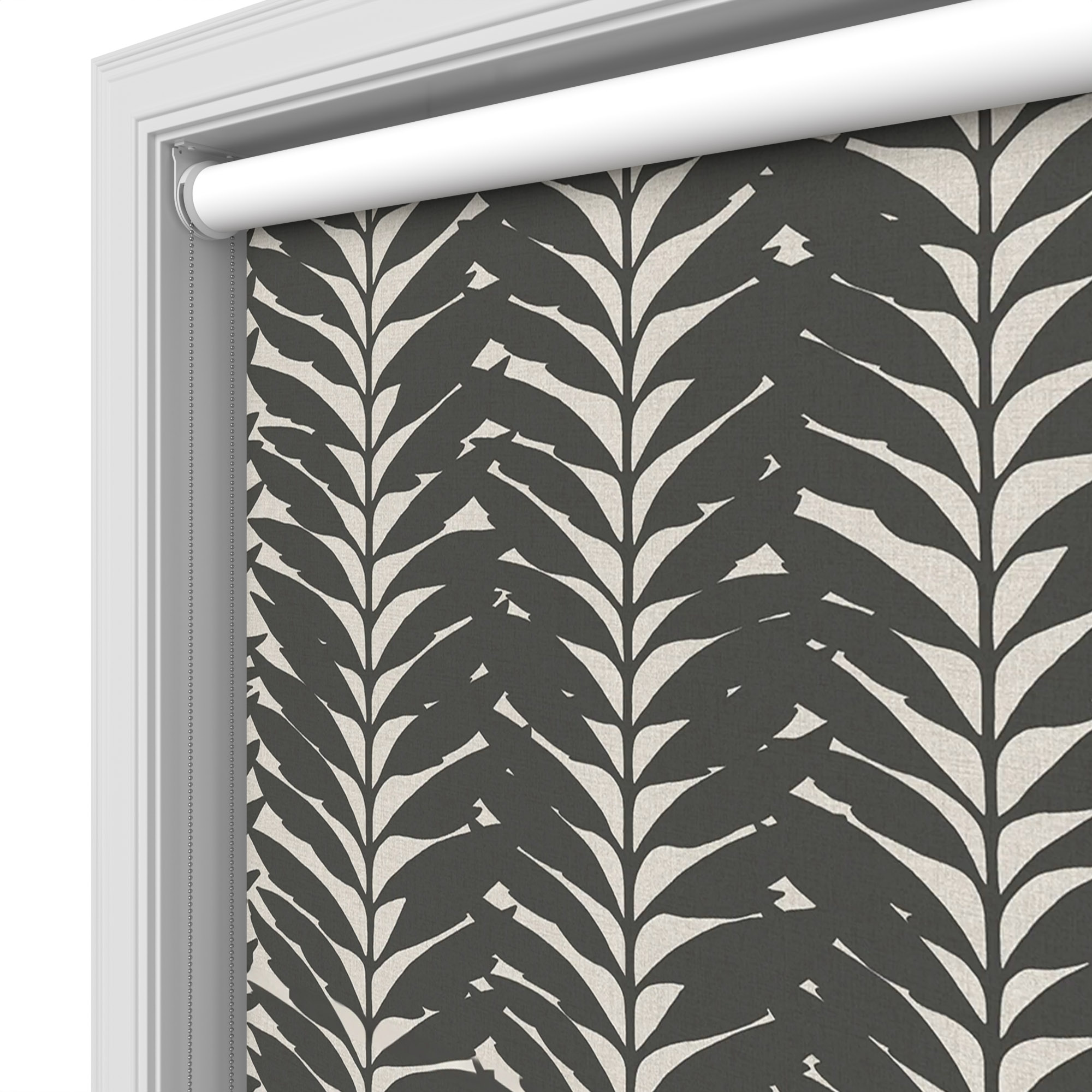Acacia Ebony Blackout - Image 4