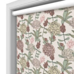Dahlia Blush Blackout Motorised