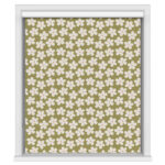 Daisy Khaki Blackout Cassette