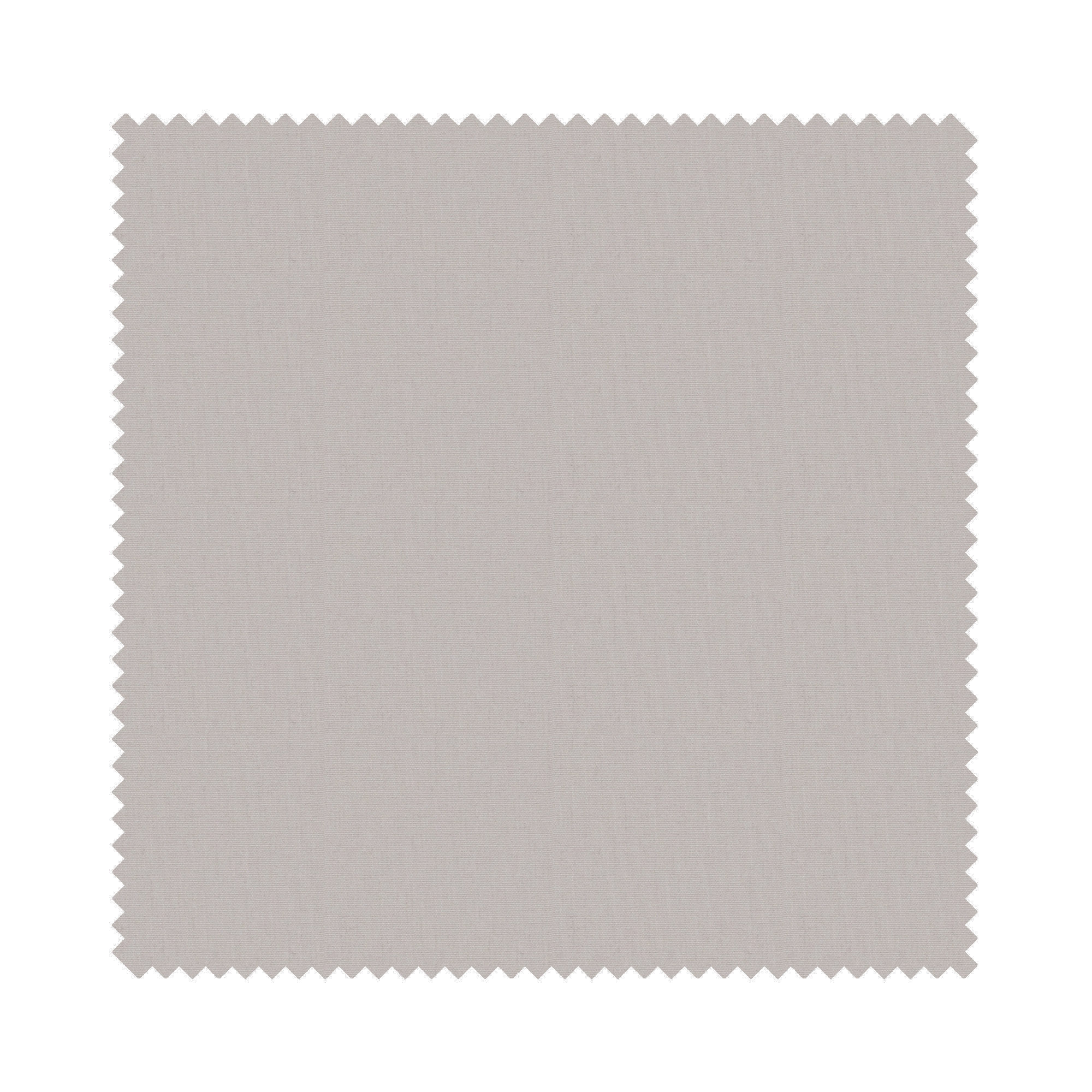 Daybreak Mushroom - Image 5
