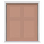 Oxford Rust