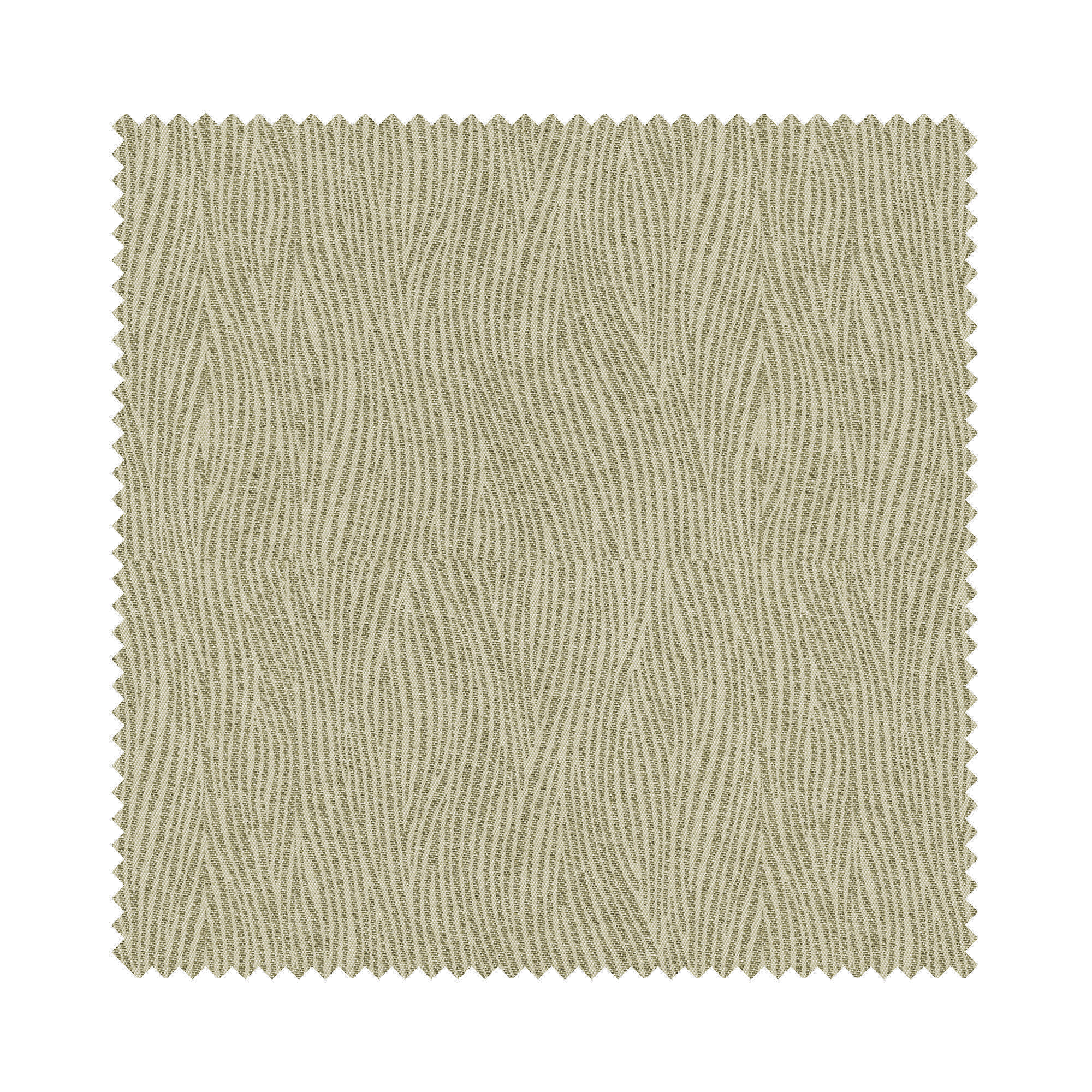 Savanna Grass Blackout - Image 6