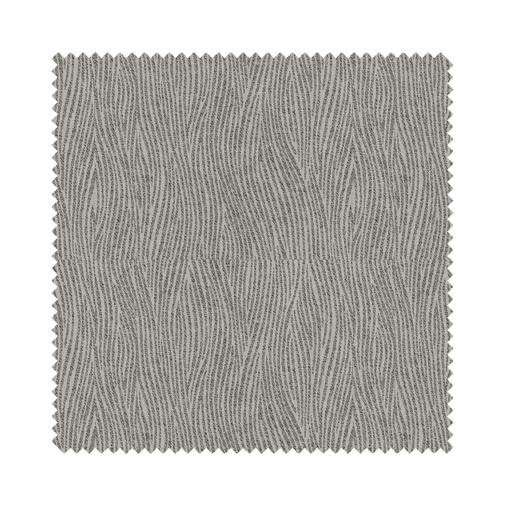 Savanna Zebra Blackout - Image 6