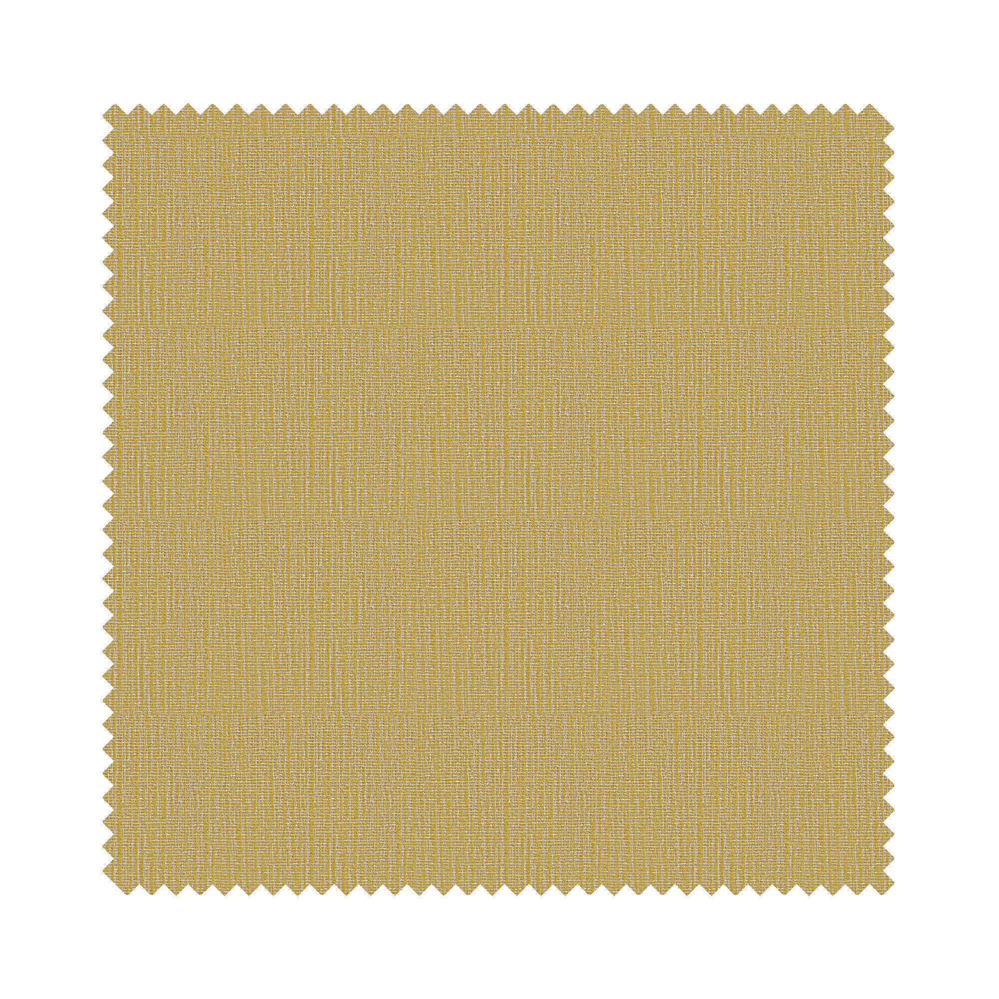 Odin Solas - Image 6