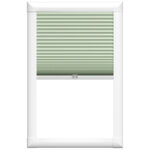 Montero Blockout Mint Green Perfect Fit