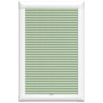 Montero Mint Green Perfect Fit