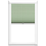 Montero Mint Green Perfect Fit