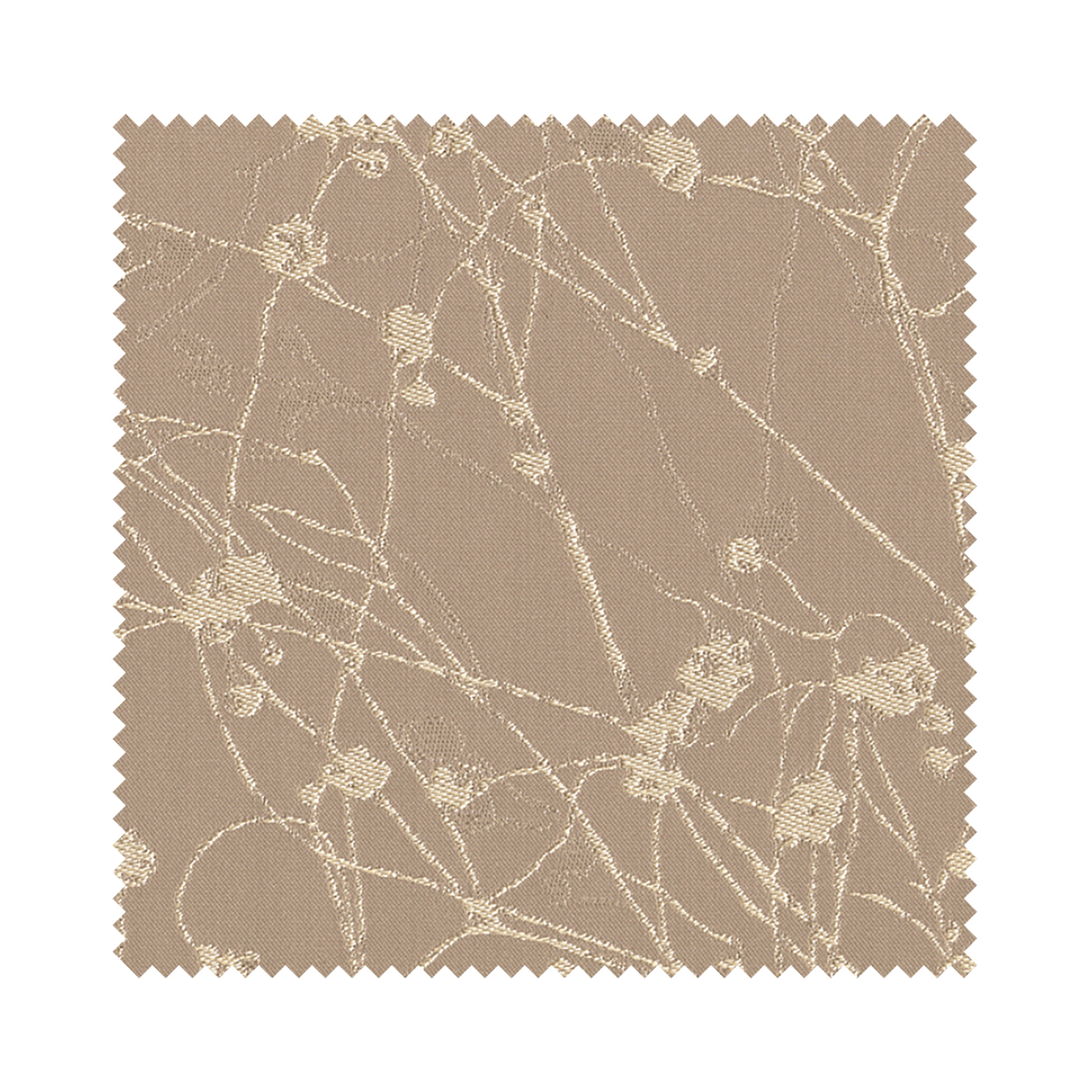 Collina Champagne Fizz Blackout - Image 6