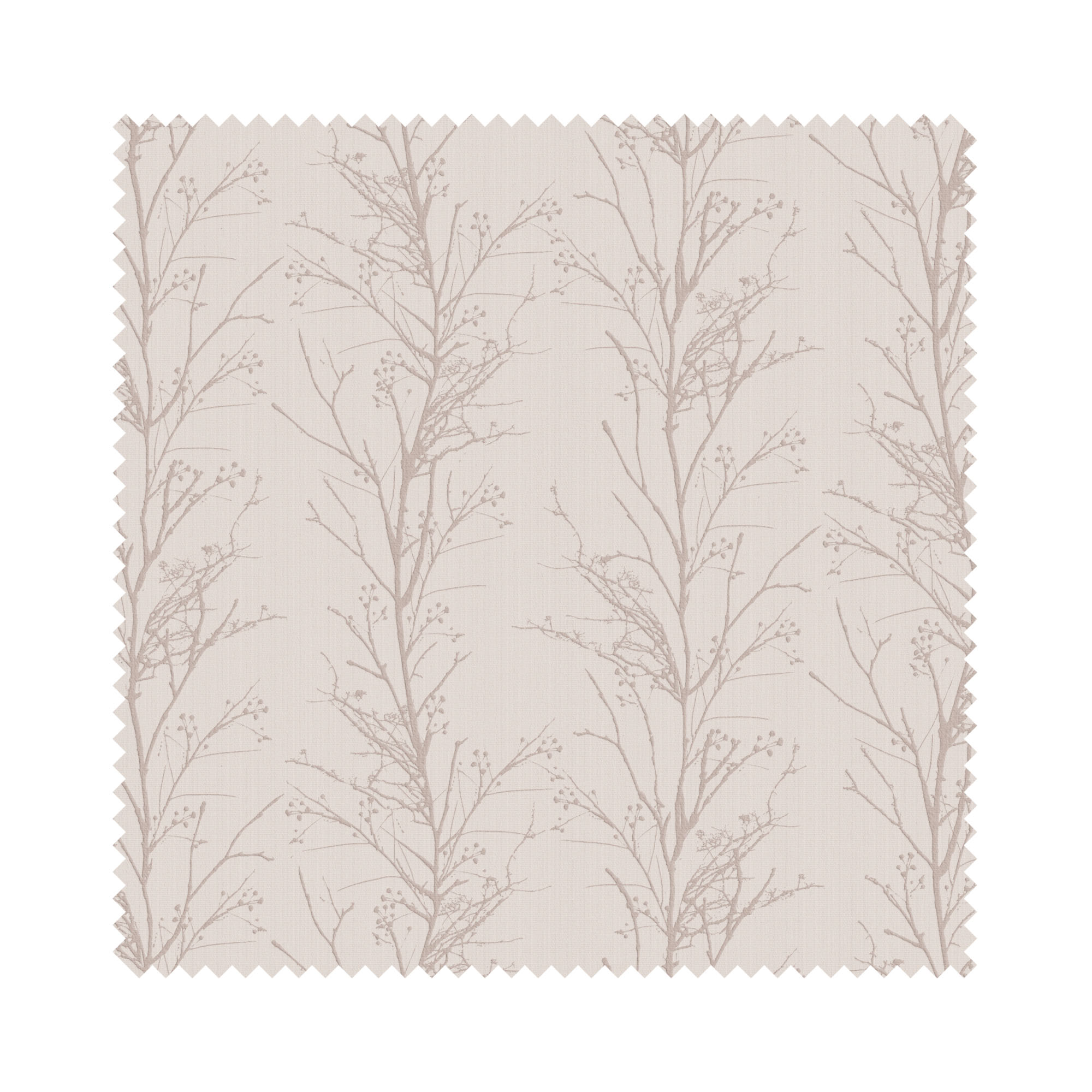 Treviso Pomelo - Image 6