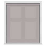 TradeChoice Silver