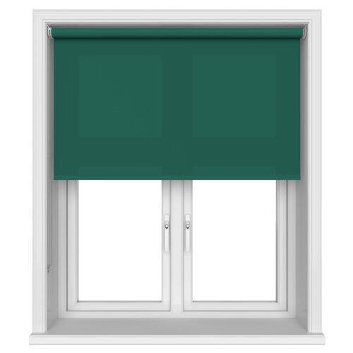 Splash Cacti
