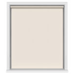 Glimpse Oyster