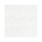Sahara White Cassette