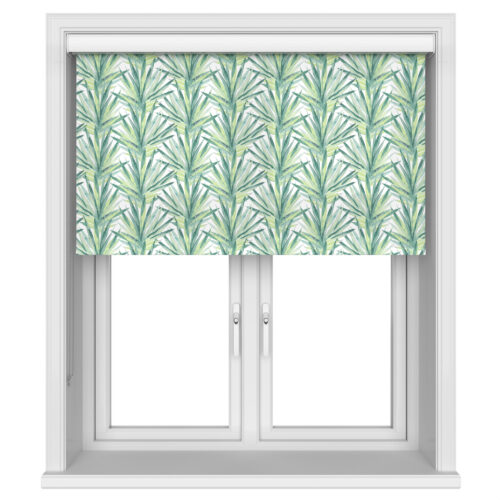 Tropic Lima Cassette