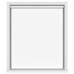 Carnival Blackout China White Motorised