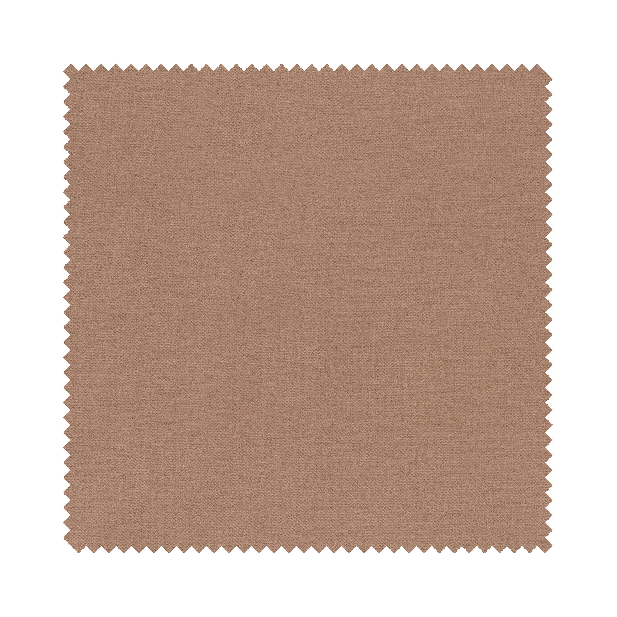 Mylo Latte Motorised - Image 6