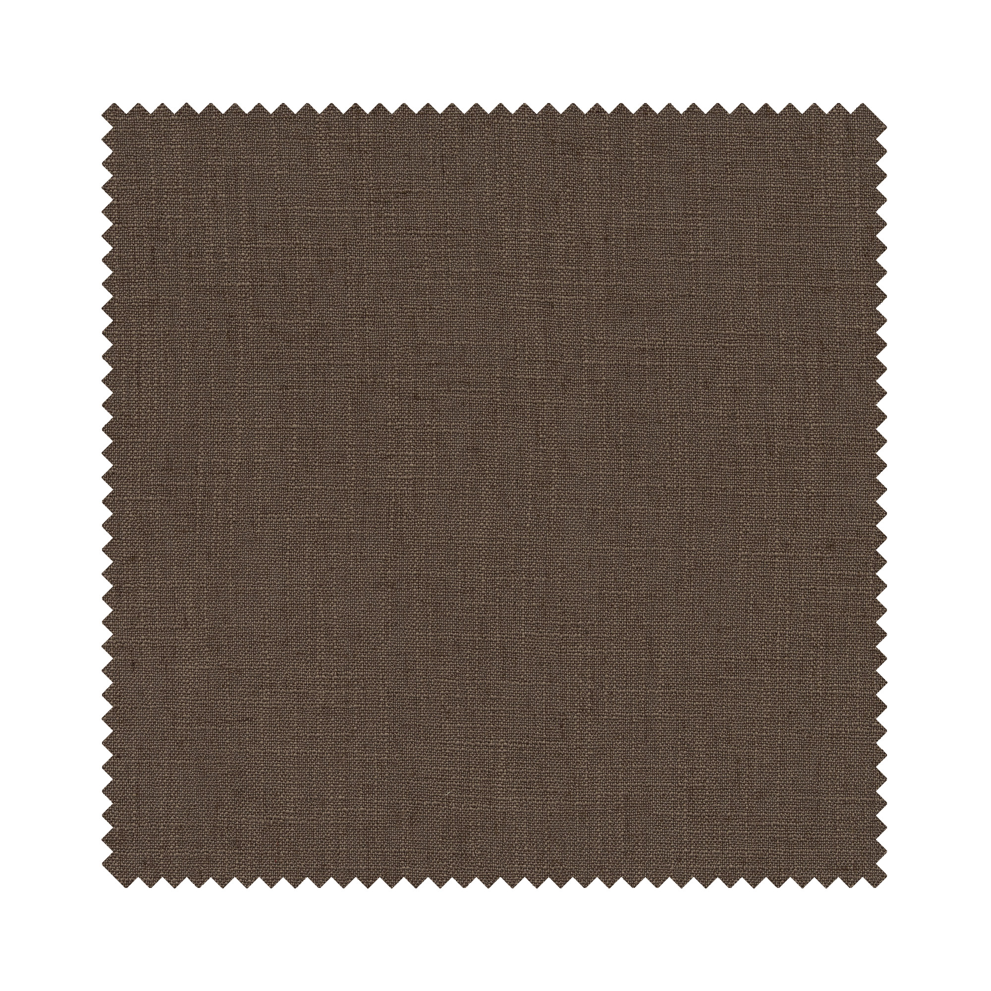 Ezra Toffee Motorised - Image 6
