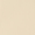 Clearance: Sole Cream Replacement Slats