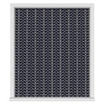 Orla Kiely Linear Stem Navy Whale Motorised